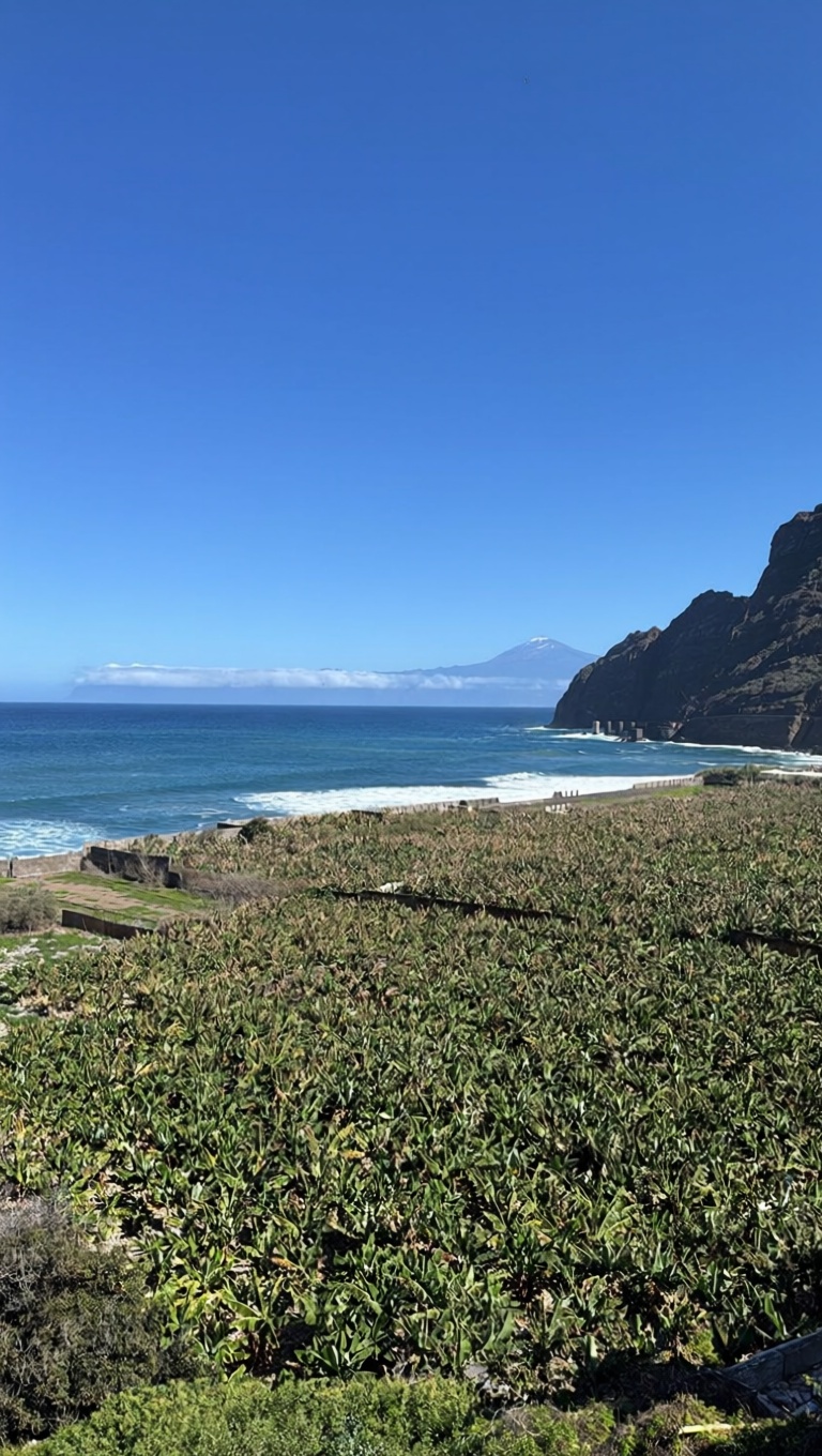 Beachfront duplex in Hermigua — Sea view