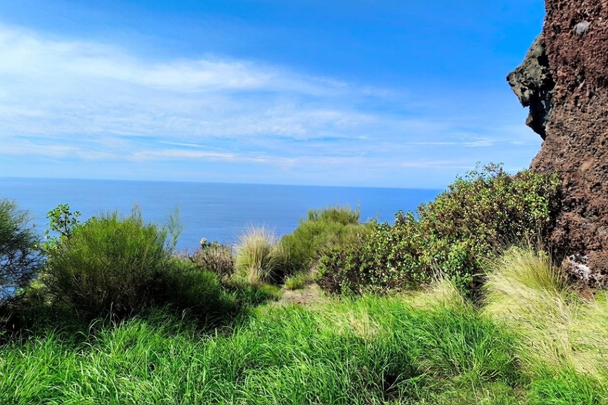 House with direct beach access in La Palma — Sea view