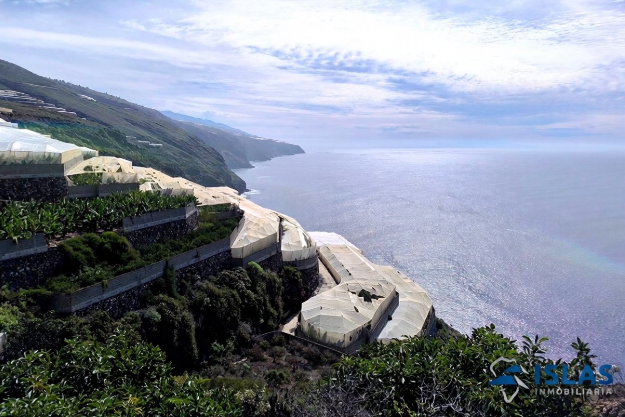House with direct beach access in La Palma — Garden