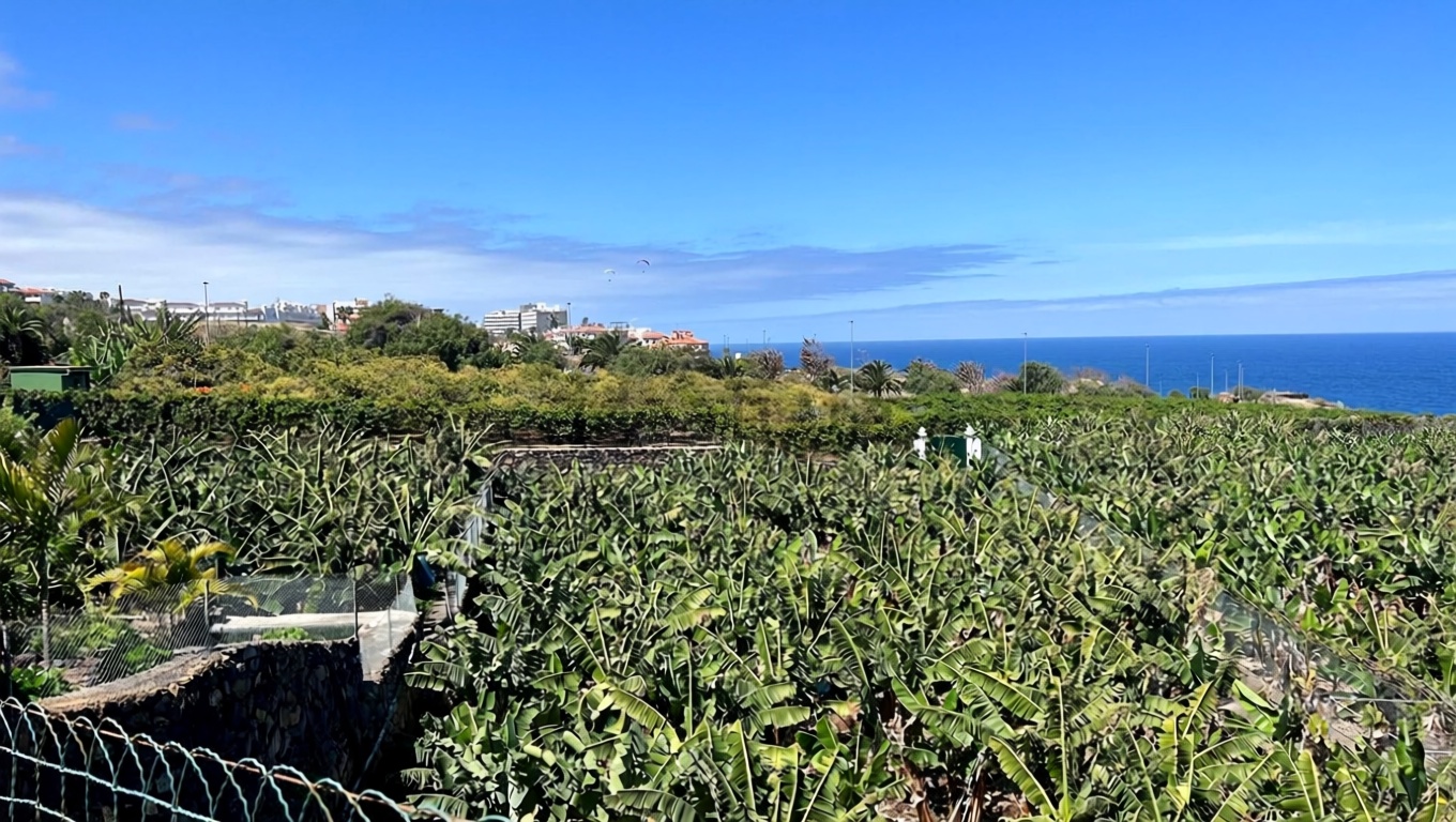 Chalet with direct beach access in Puerto de la Cruz — Sea view