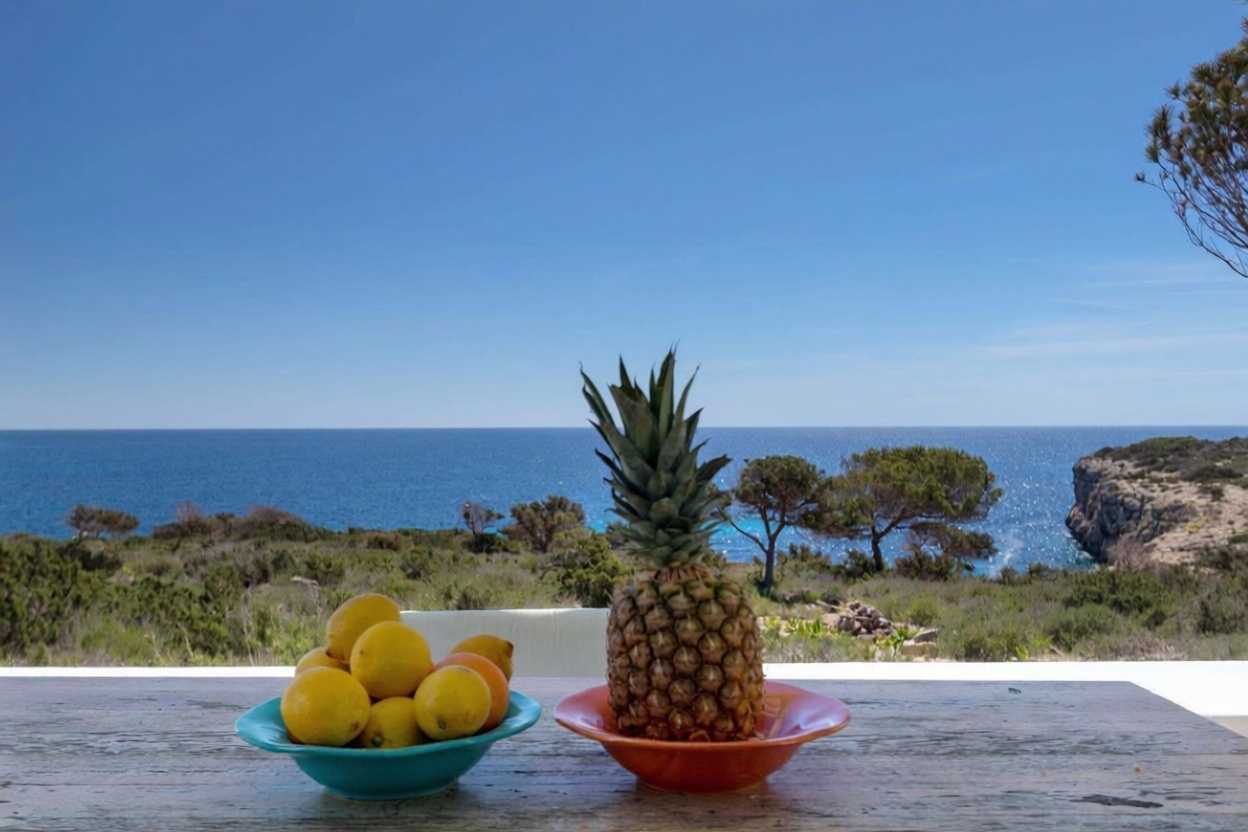 Haus mit direkter Strandzugang in Formentera — Meerblick