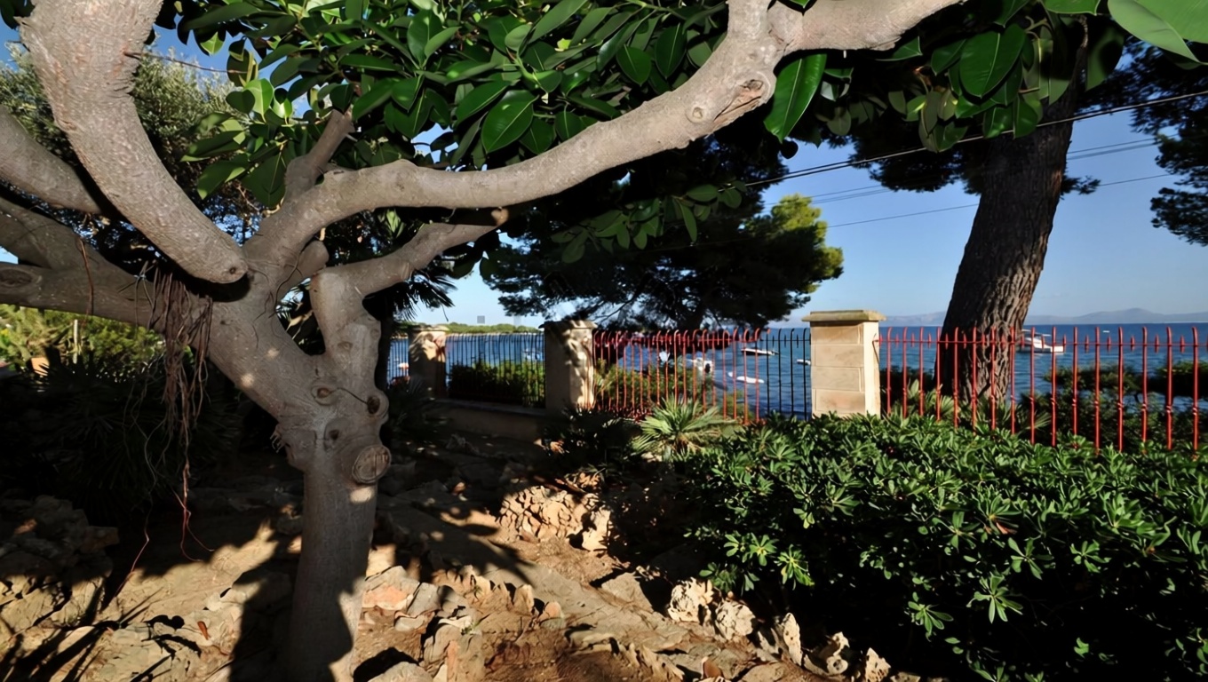 Beachfront flat in Alcúdia — Sea view