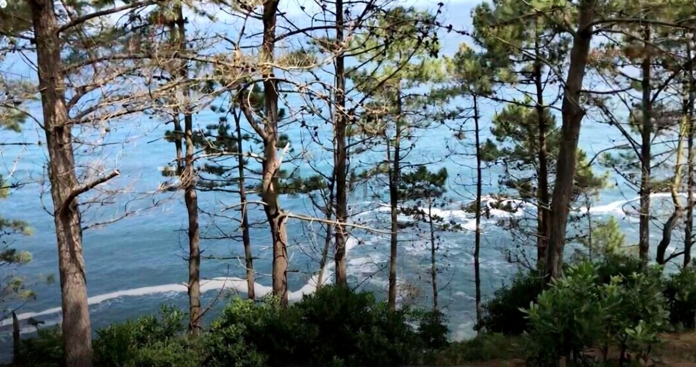 Chalet mit direkter Strandzugang in Donostia-San Sebastián — Meerblick
