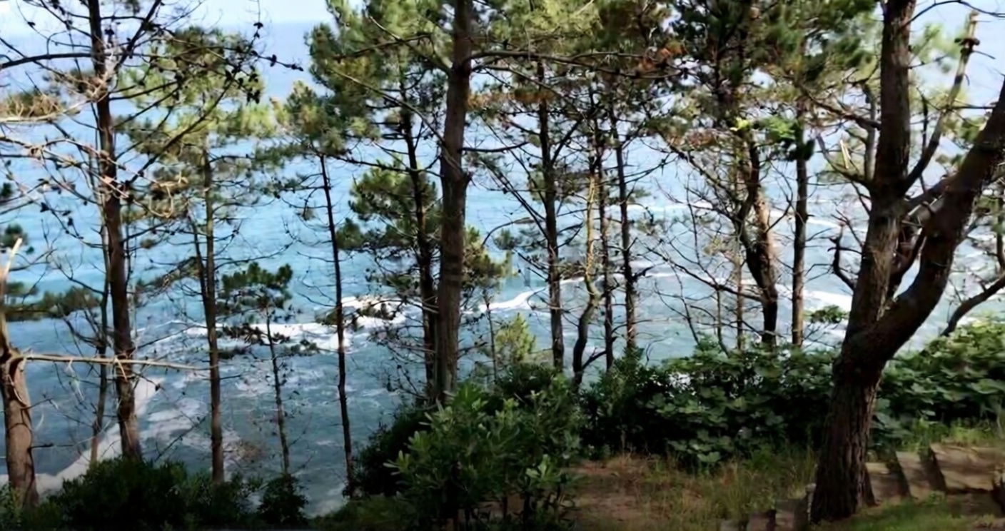 Chalet mit direkter Strandzugang in Donostia-San Sebastián — Meerblick