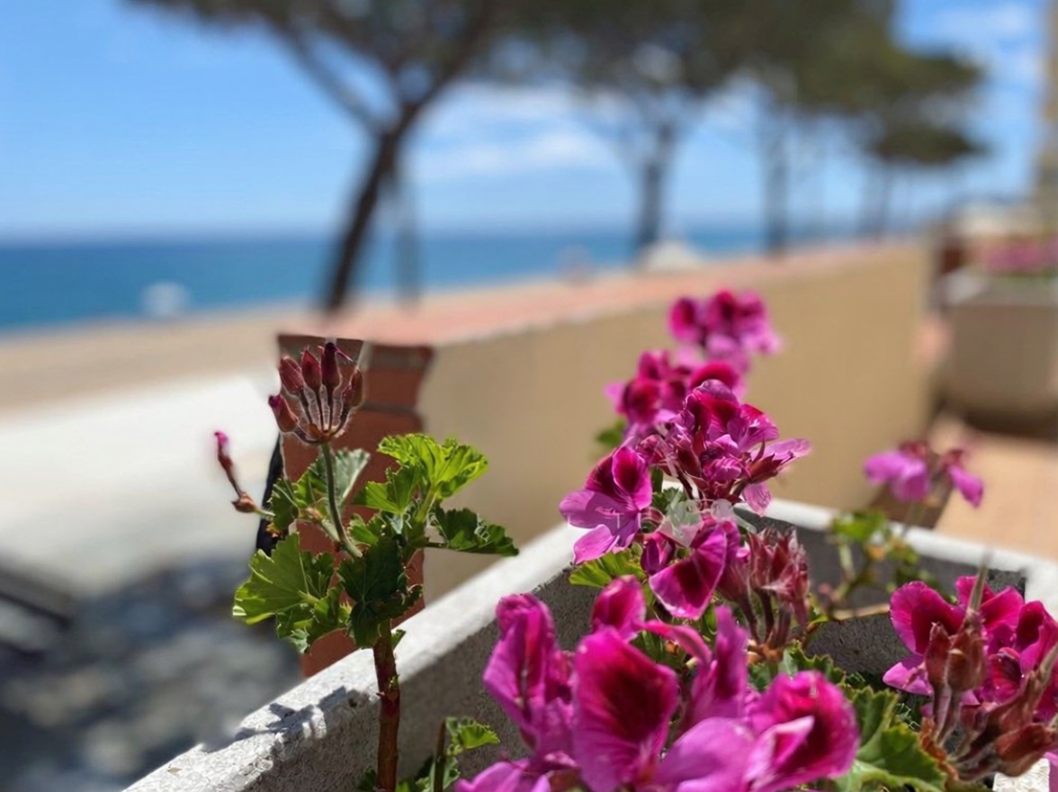 Студия на продажу на первой линии пляжа в Castell-Platja d'Aro