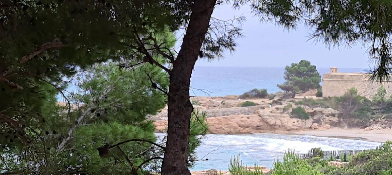 Шале на продажу с прямым выходом на пляж в L'Ametlla de Mar