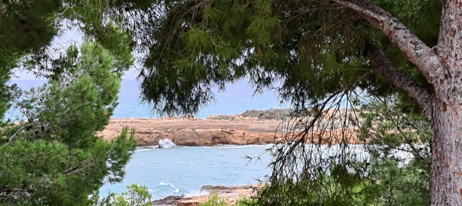 Chalet en venta con acceso directo a la playa en L'Ametlla de Mar — Vista mar