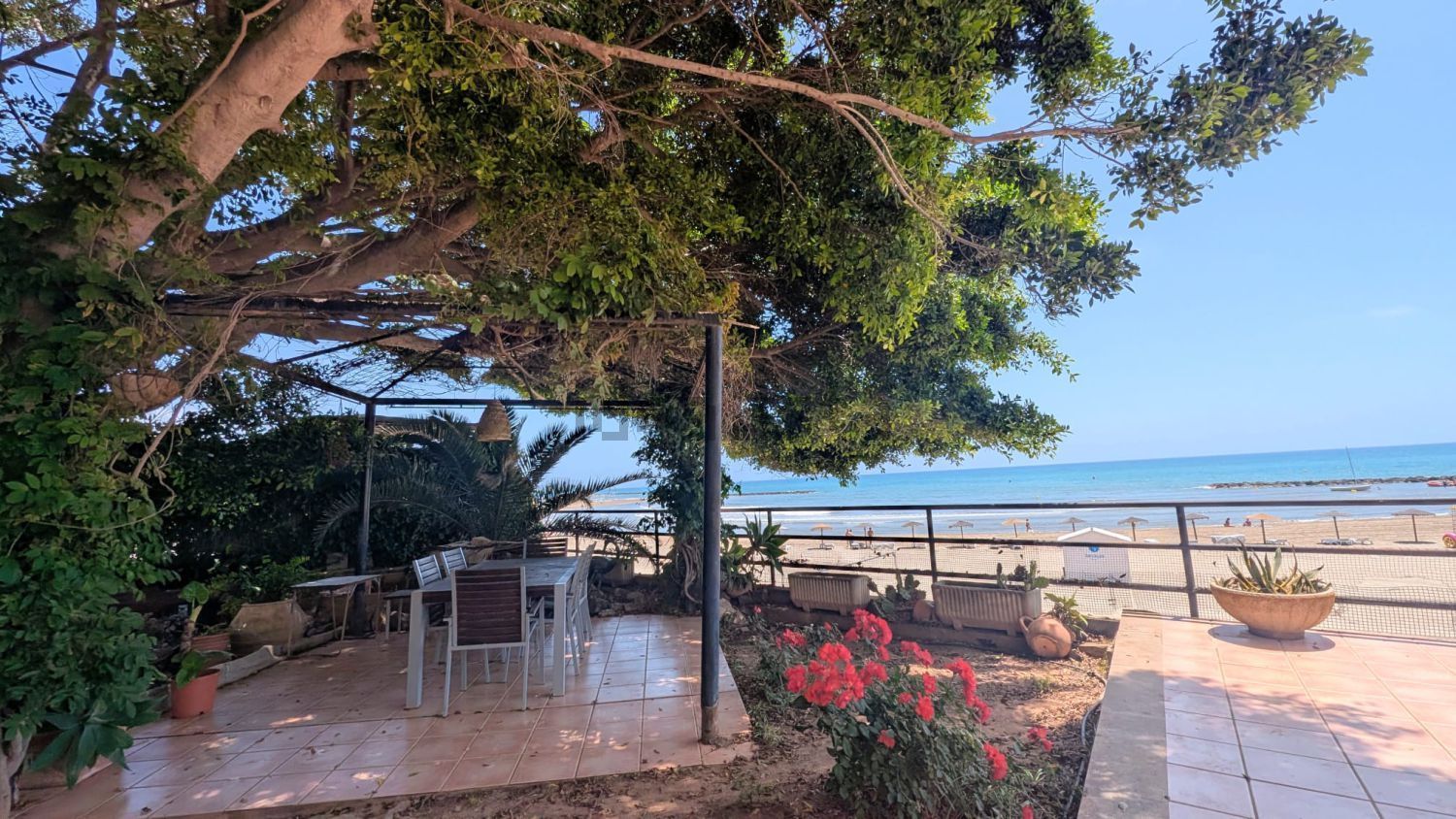 Casa o chalet independiente en venta en Avenida Ferrandis Salvador