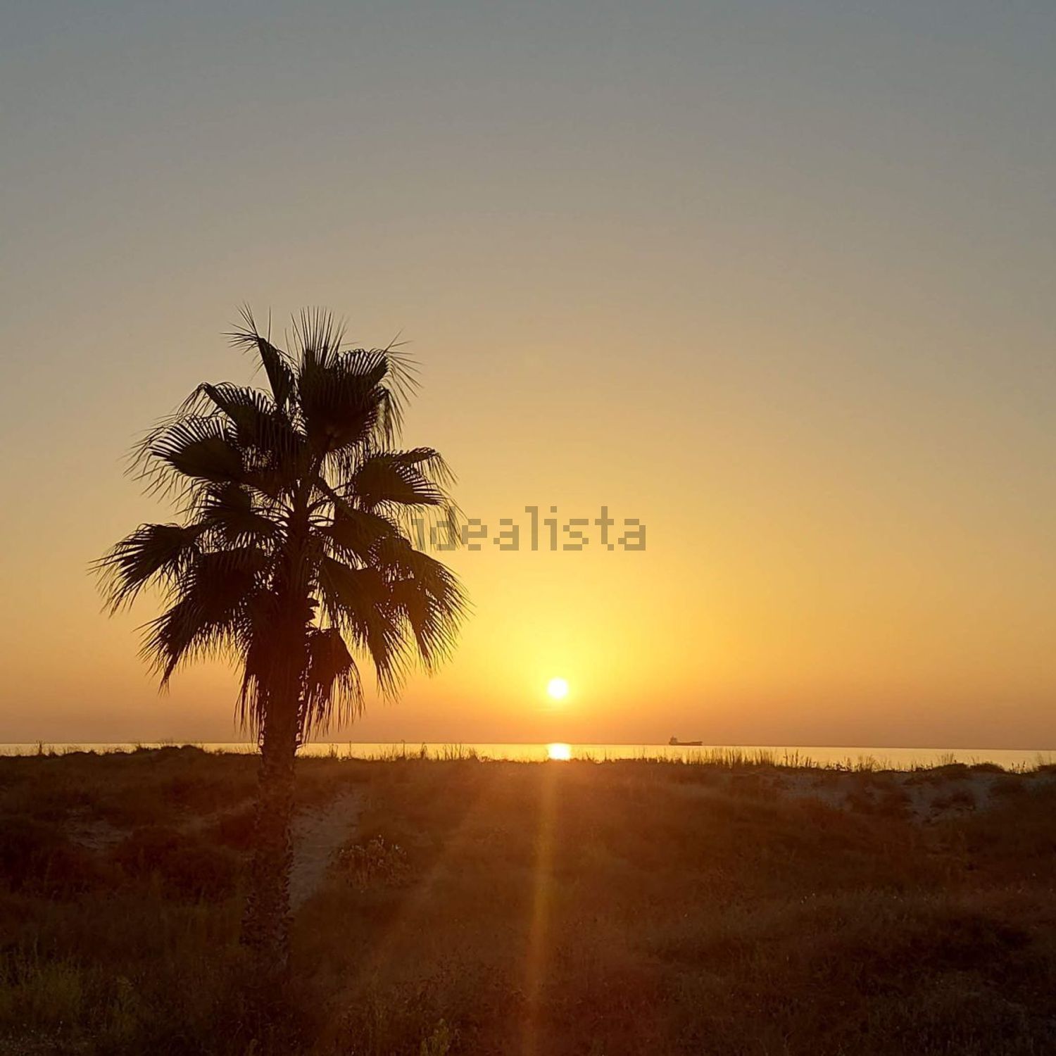 Casa o chalet independiente en venta en Avenida Castalia