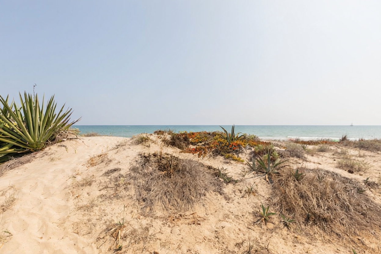 Chalet avec accès direct à la plage à Cullera — Vue mer