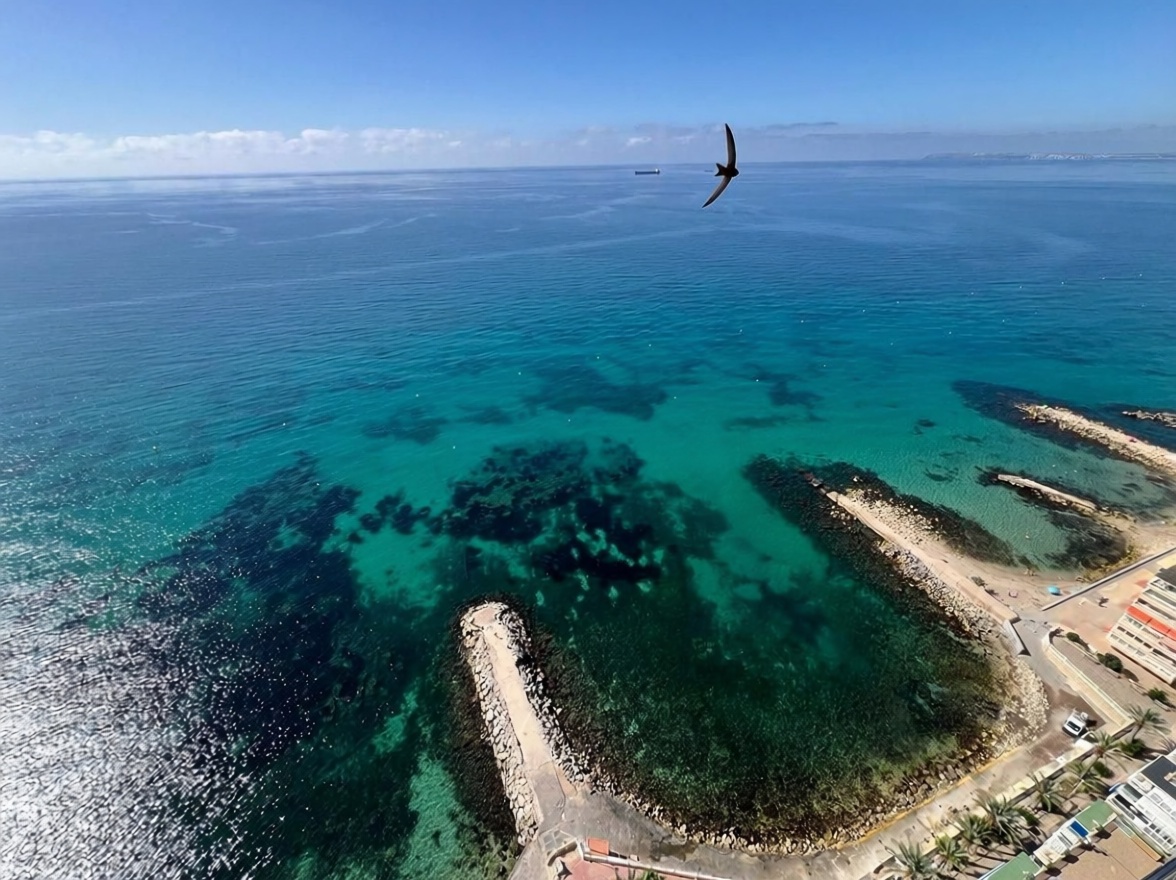 Apartamento em primeira linha de praia em Alicante — Vista mar