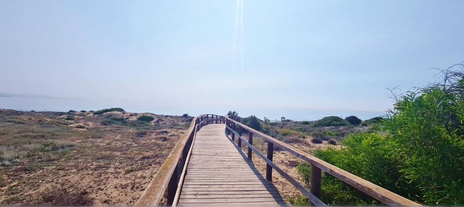 Beachfront flat in Elche — Sea view