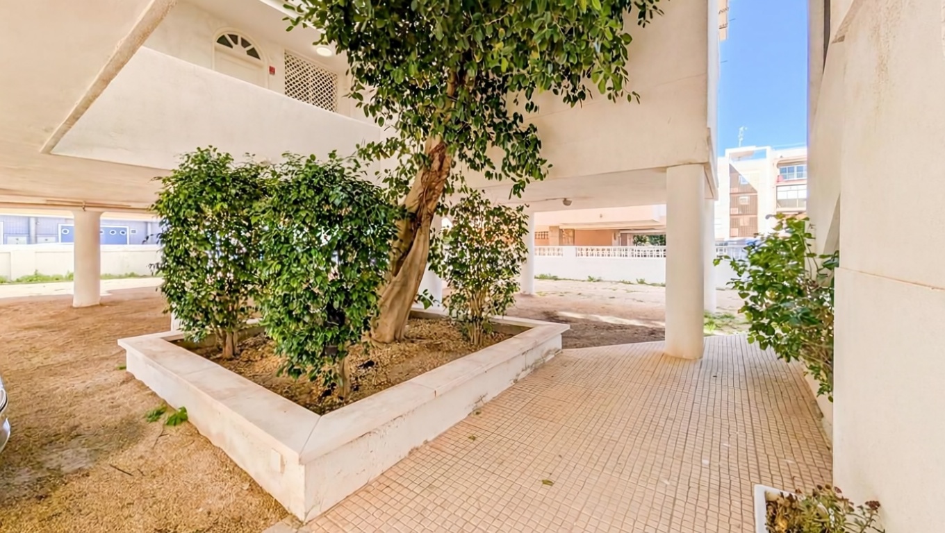 Piso en primera línea de playa en Santa Pola — Jardín