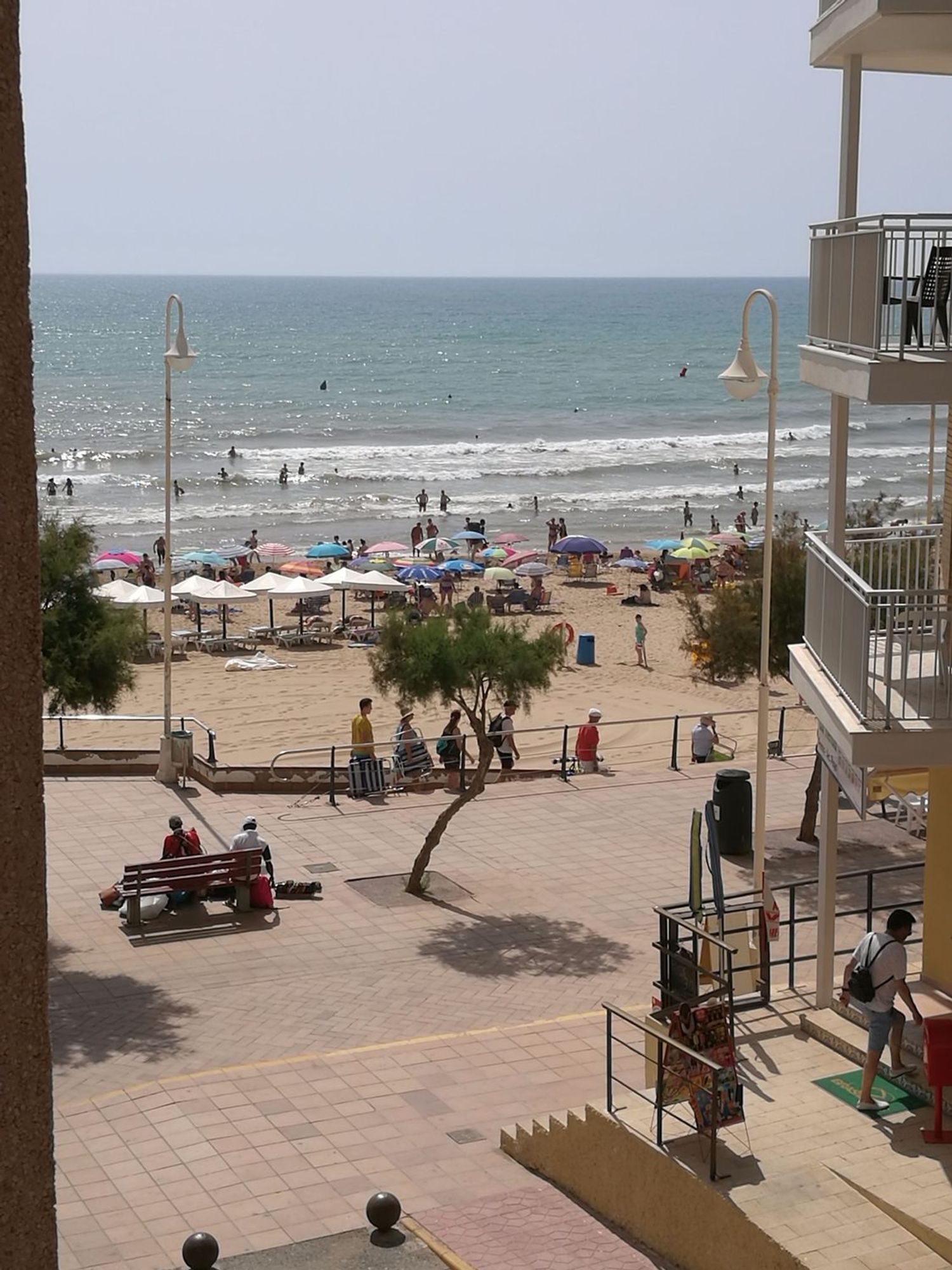 Piso en primera línea de playa en Guardamar del Segura — Terraza mar