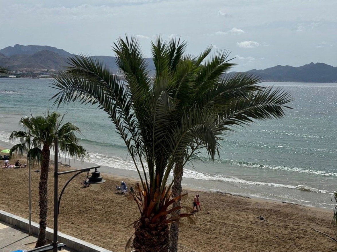 Piso en primera línea de playa en Mazarrón — Vista mar