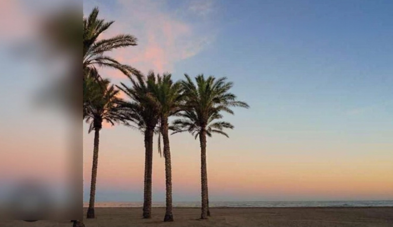 Appartement en attique en première ligne de mer à Roquetas de Mar