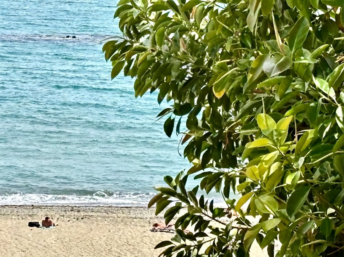 Apartamento em primeira linha de praia em Estepona